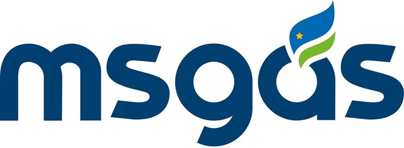 MSGás
